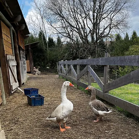 De Treilles * Puylaroque