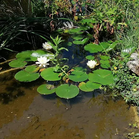 בית אירוח De Treilles *