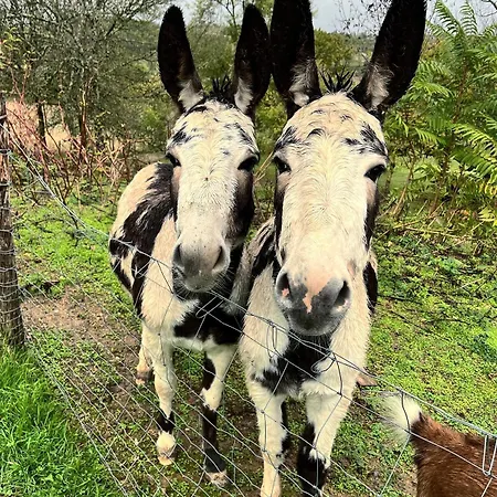 De Treilles Puylaroque