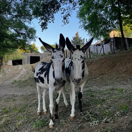 De Treilles בית אירוח *