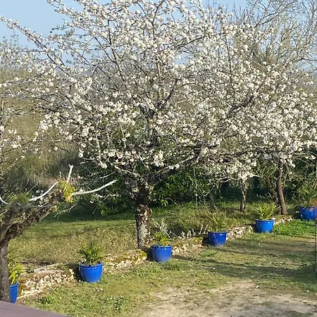 De Treilles Puylaroque