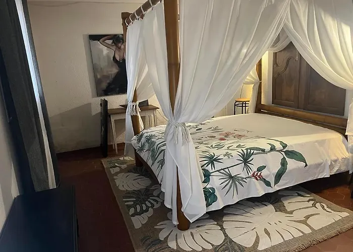 De Treilles Puylaroque