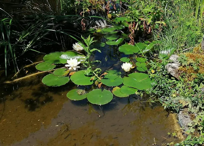 Privatunterkunft De Treilles *