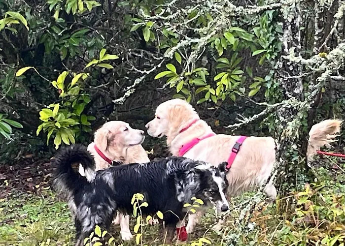 Privatunterkunft De Treilles *