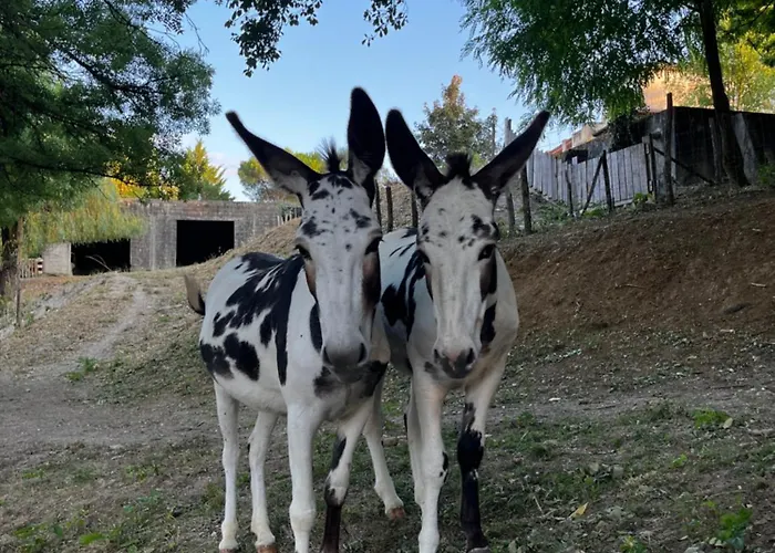 De Treilles Privatunterkunft *