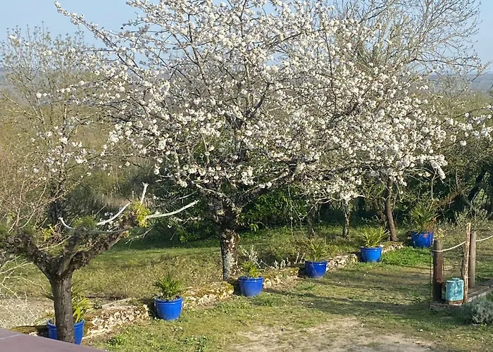 De Treilles Puylaroque